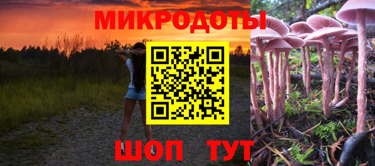 Псилоцибиновые грибы Psilocybine cubensis Воскресенск