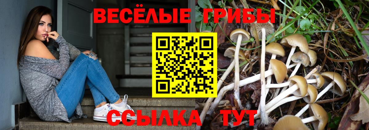 Воскресенск  где продают   Вход с VPN  Псилоцибиновые грибы GOLDEN TEACHER 